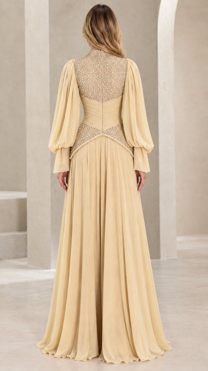 Champagne pleated chiffon evening dress back view